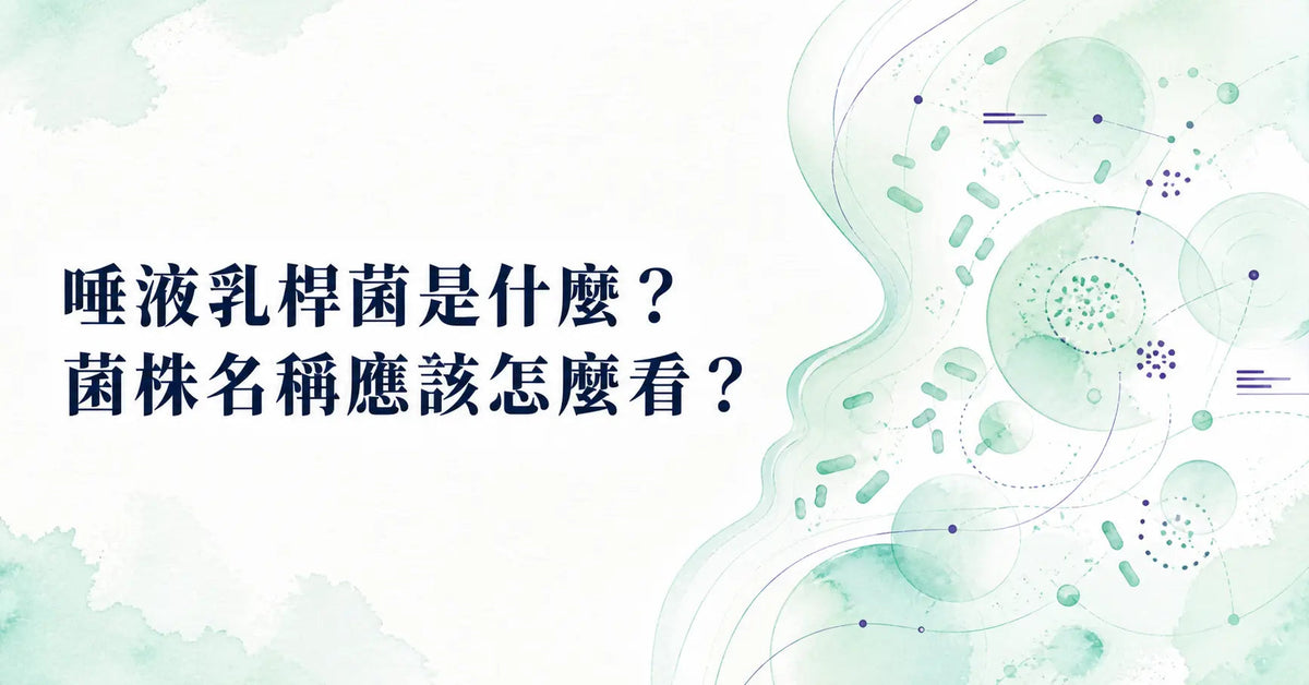 唾液乳桿菌是什麼？菌株名稱應該怎麼看？