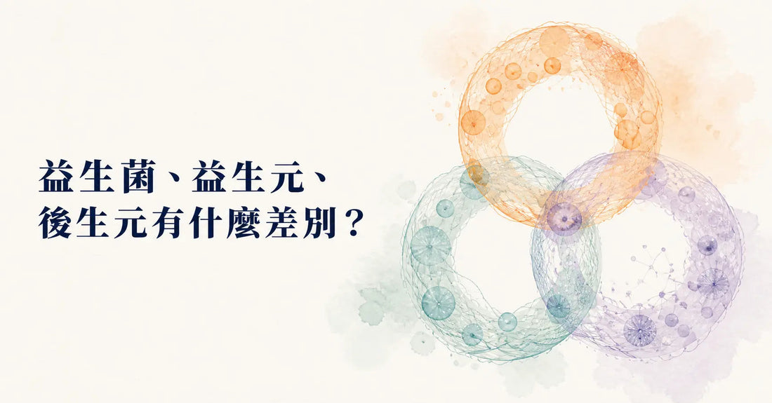 益生菌、益生元、後生元有什麼差別？