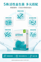 萊德寶 Lactobact INTENSE 高濃度腸道保養益生菌膠囊 20/40 粒 Lactobact 萊德寶