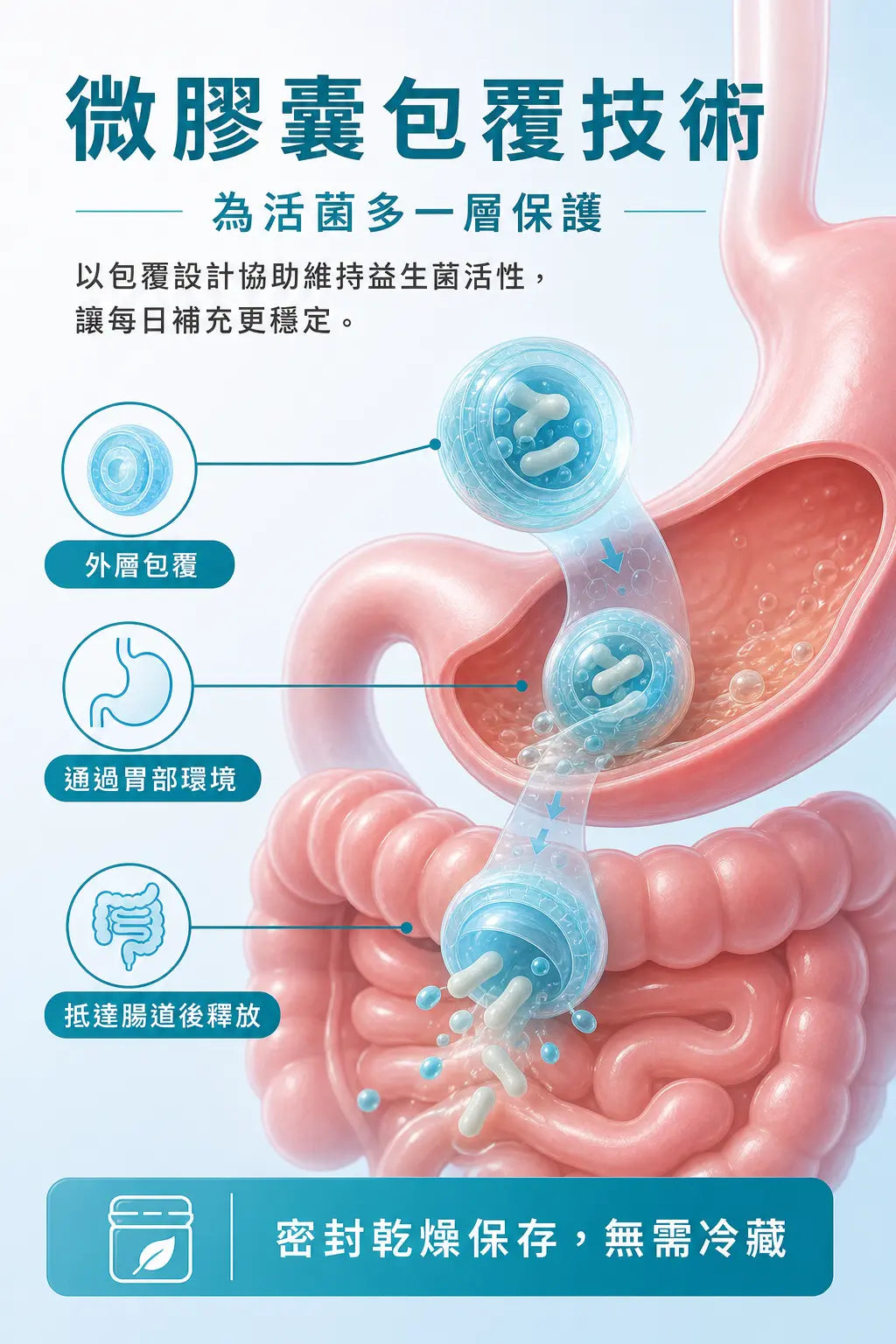 萊德寶 Lactobact FORTE 腸道黏膜養護益生菌膠囊 120/300 粒 Lactobact 萊德寶